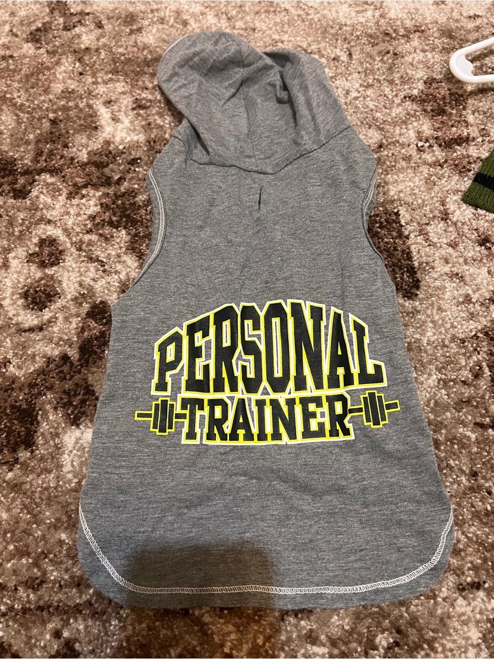 Gray 'Personal Trainer' Sleeveless Hoodie for Kids